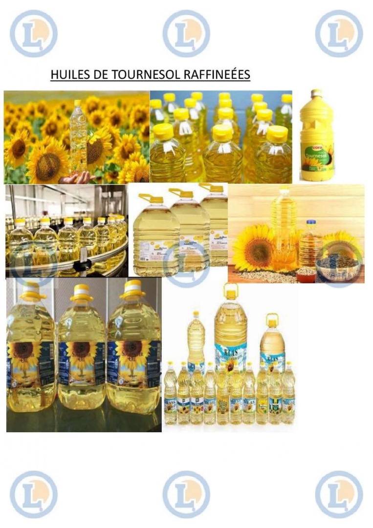 Champ de tournesols