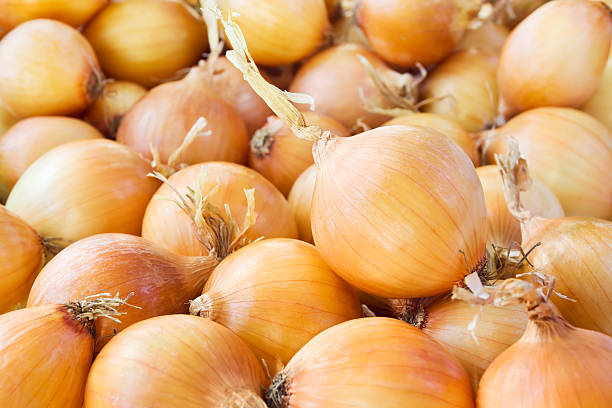 Oignons rouges et blancs