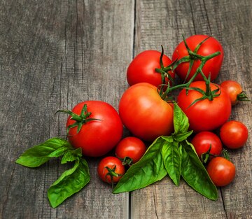 Tomates fraîches